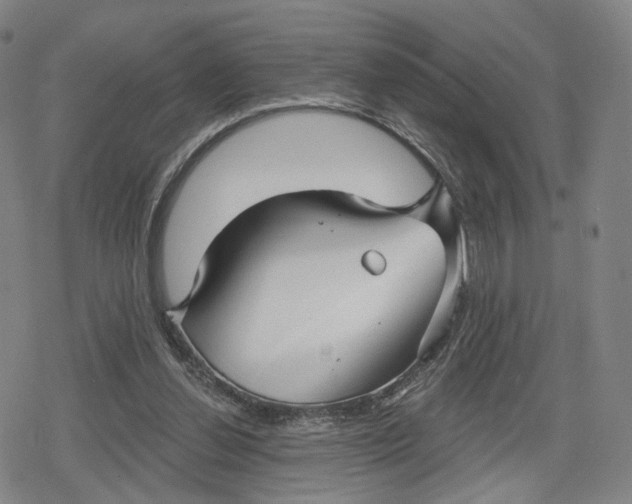 X0000079580252200612221438