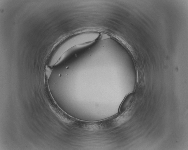 X0000079580253200612221438