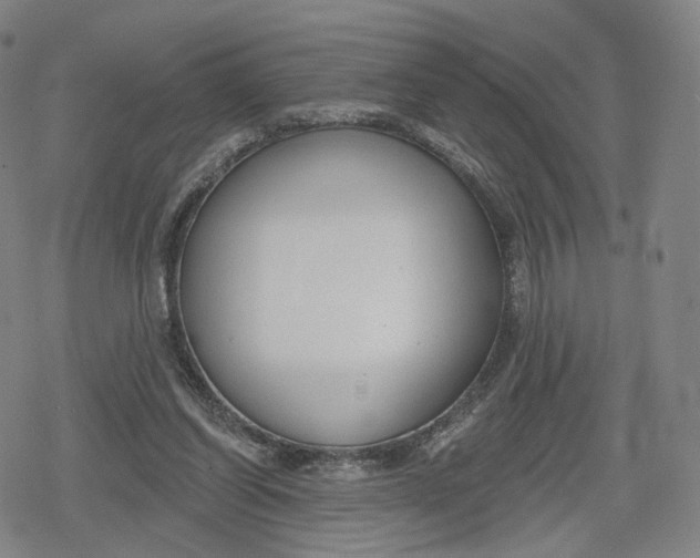 X0000079580254200612221438