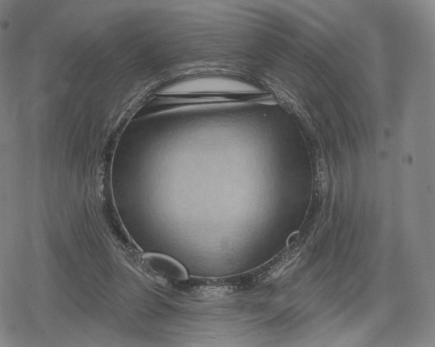 X0000079580255200612221438