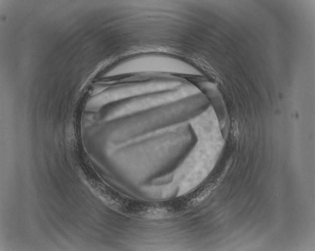 X0000079580256200612221438