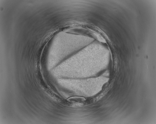 X0000079580257200612221438