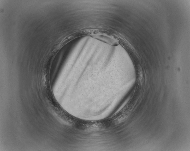 X0000079580259200612221438