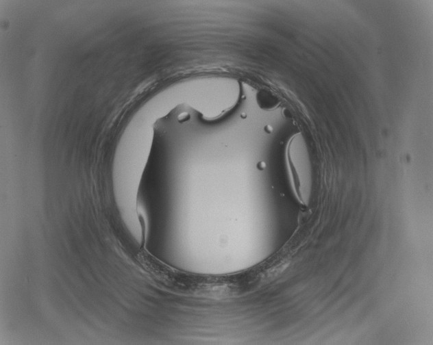 X0000079580260200612221438