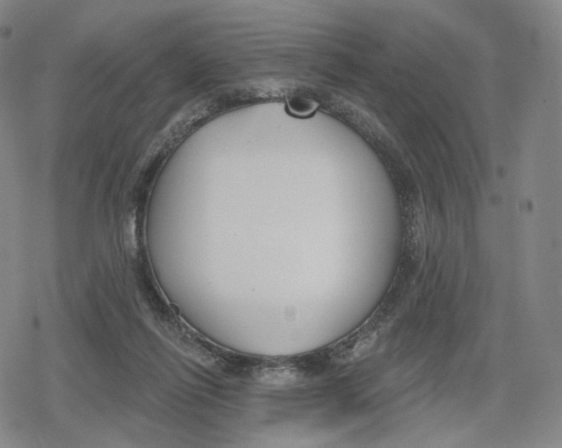 X0000079580262200612221438