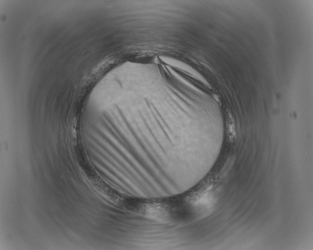 X0000079580264200612221438