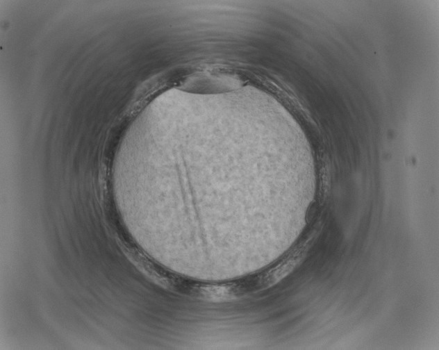 X0000079580265200612221438