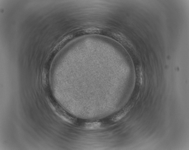 X0000079580266200612221438