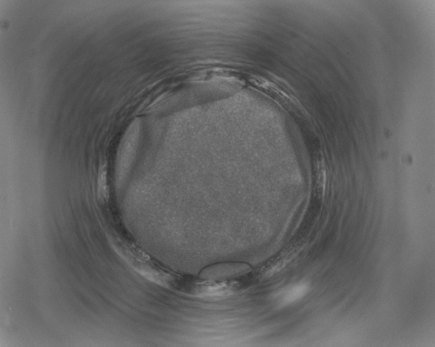 X0000079580267200612221438