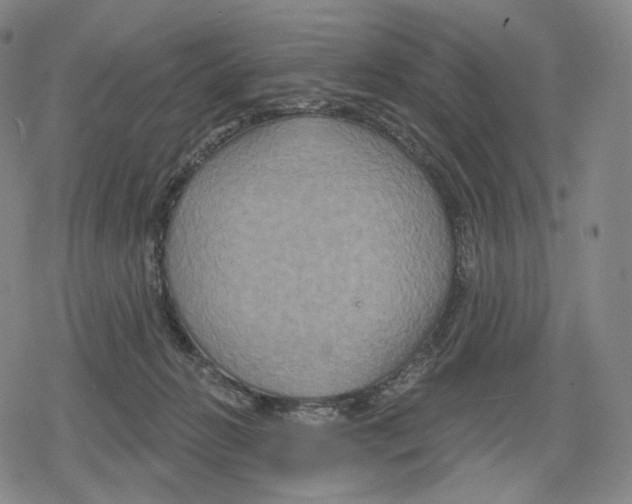 X0000079580270200612221438