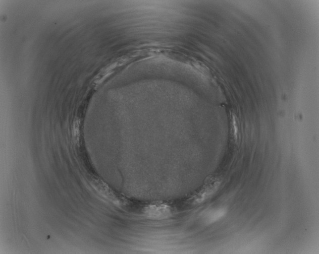 X0000079580271200612221438