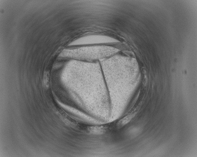 X0000079580273200612221438