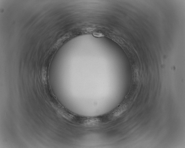 X0000079580274200612221438