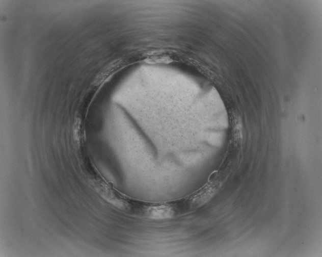 X0000079580275200612221438