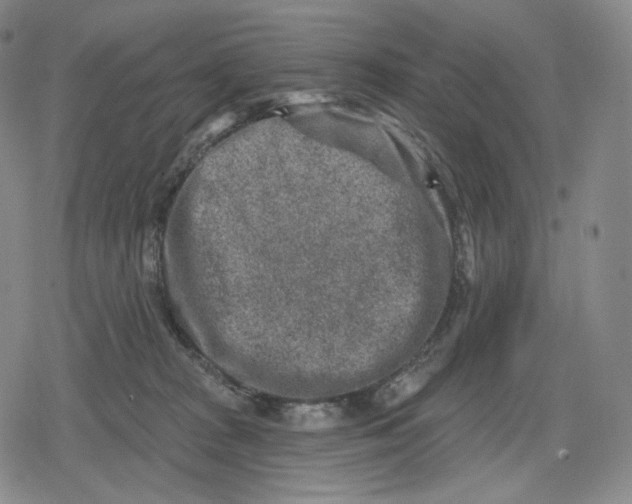 X0000079580277200612221438