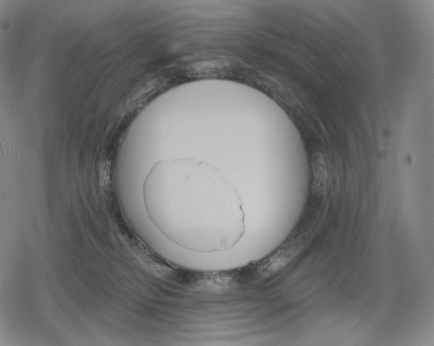 X0000079580278200612221438