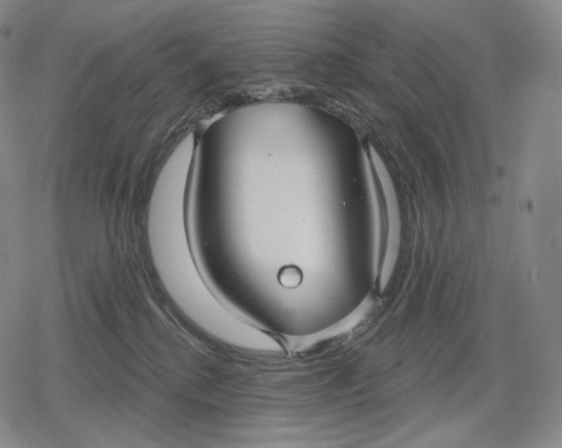 X0000079580280200612221438