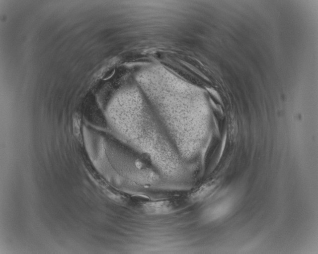 X0000079580281200612221438