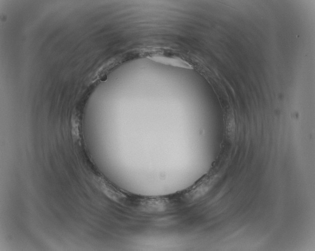 X0000079580282200612221438