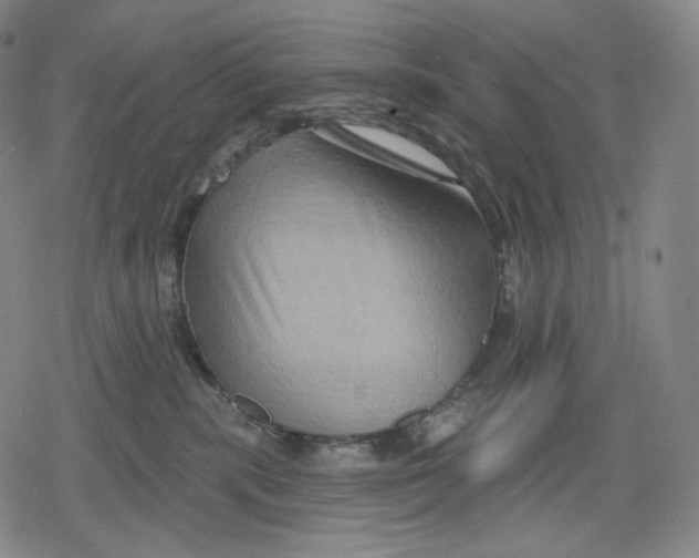 X0000079580283200612221438