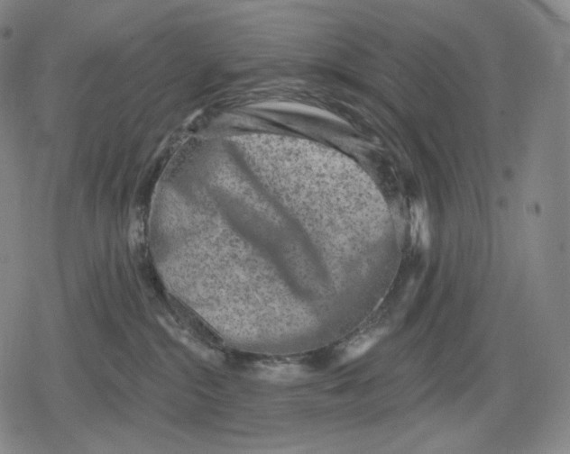 X0000079580284200612221438