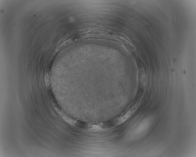 X0000079580285200612221438