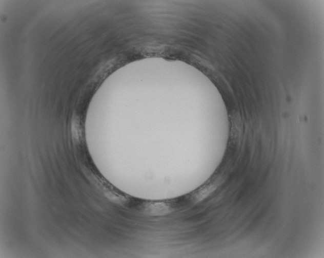 X0000079580287200612221438