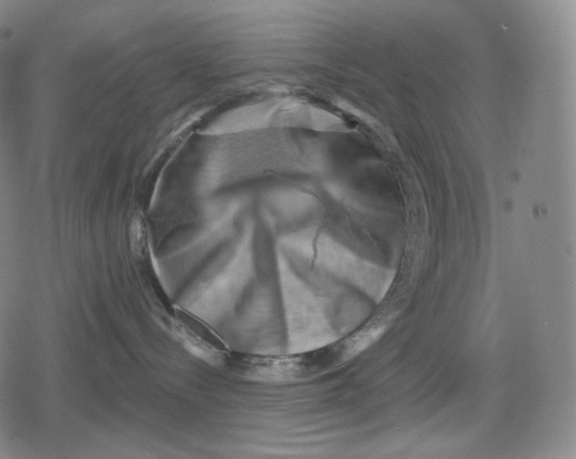 X0000079580288200612221438