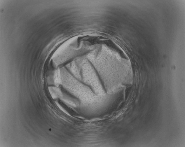 X0000079580290200612221437