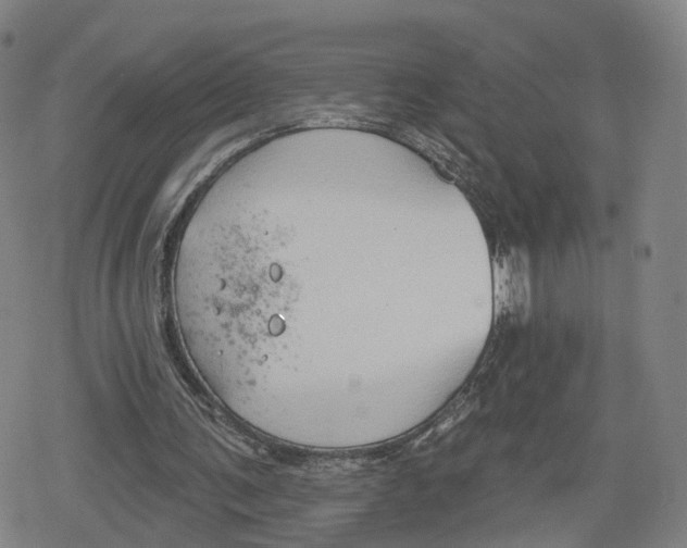 X0000079580291200612221437