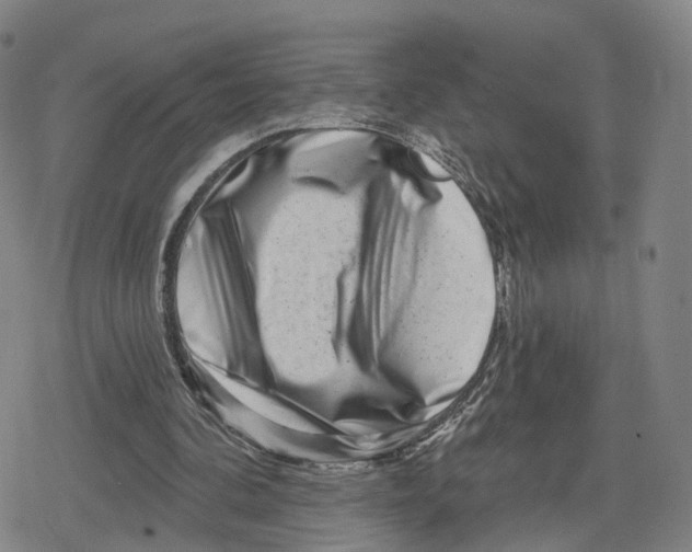 X0000079580292200612221437