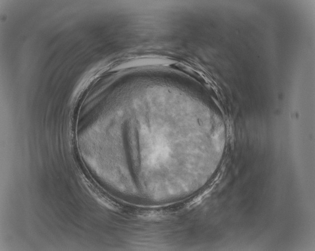 X0000079580293200612221437