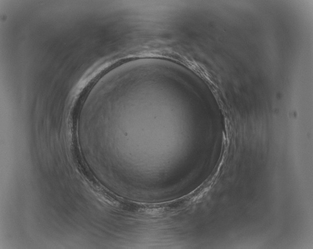 X0000079580295200612221437