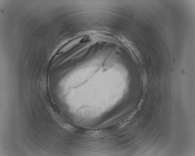 X0000079580297200612221437