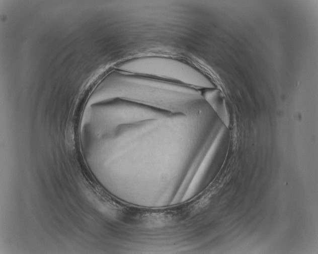 X0000079580298200612221437