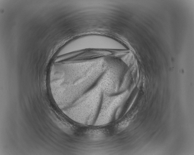 X0000079580299200612221437