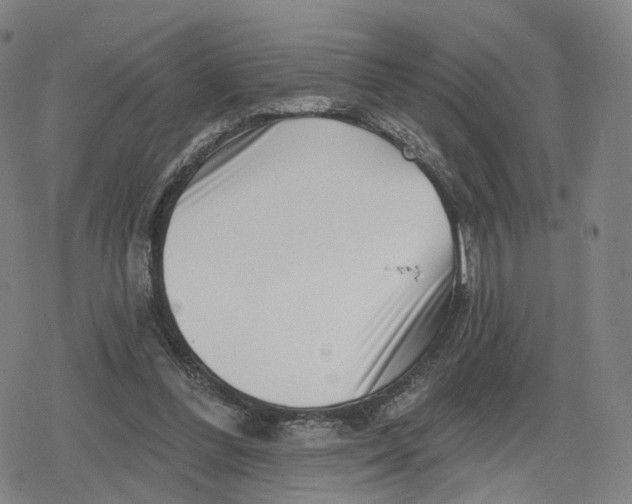 X0000079580300200612221437