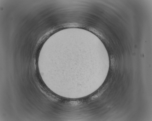 X0000079580302200612221437