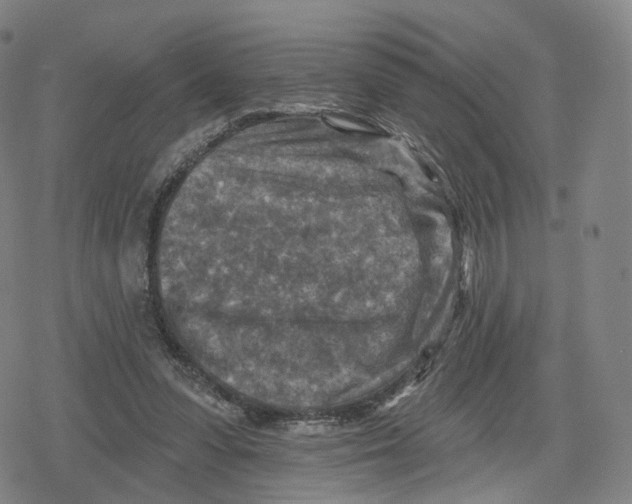 X0000079580303200612221437