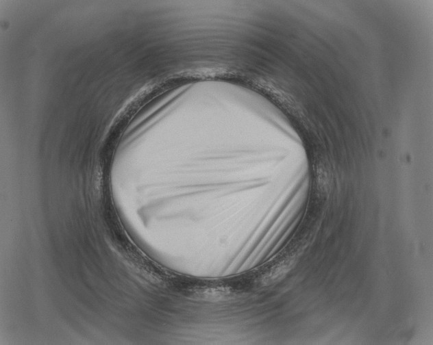 X0000079580304200612221437