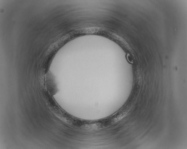 X0000079580307200612221437