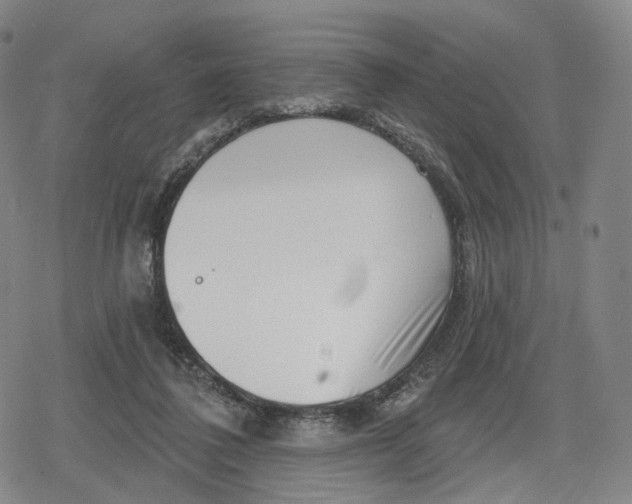 X0000079580308200612221437