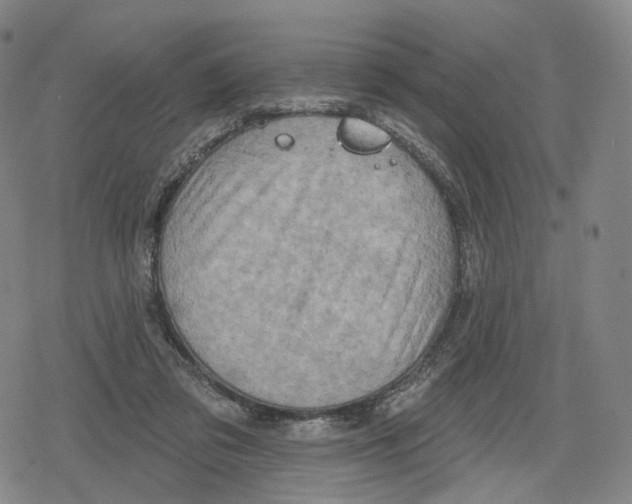 X0000079580309200612221437