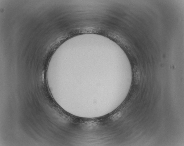 X0000079580310200612221437