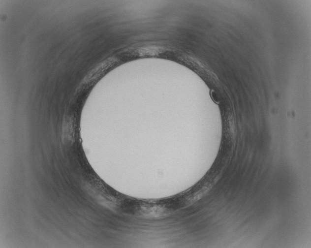 X0000079580311200612221437