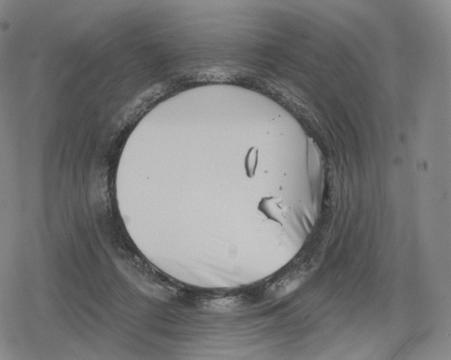 X0000079580312200612221437