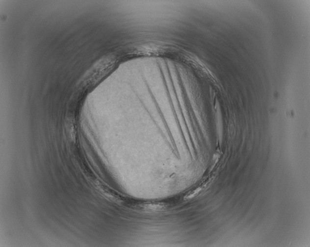 X0000079580313200612221437