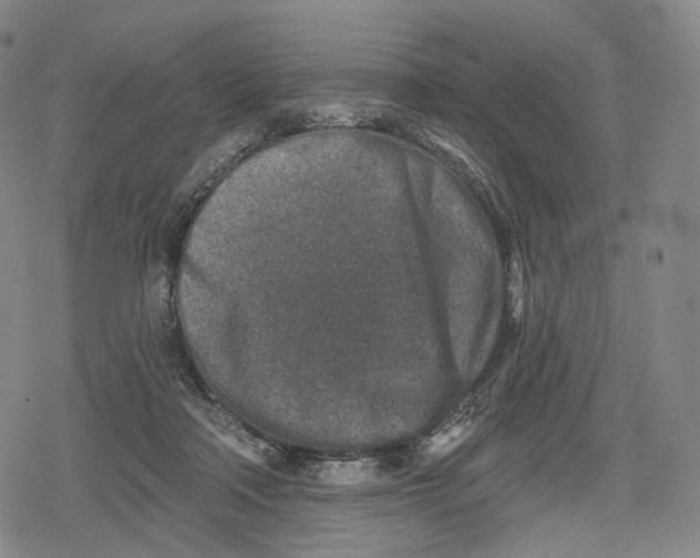 X0000079580314200612221437