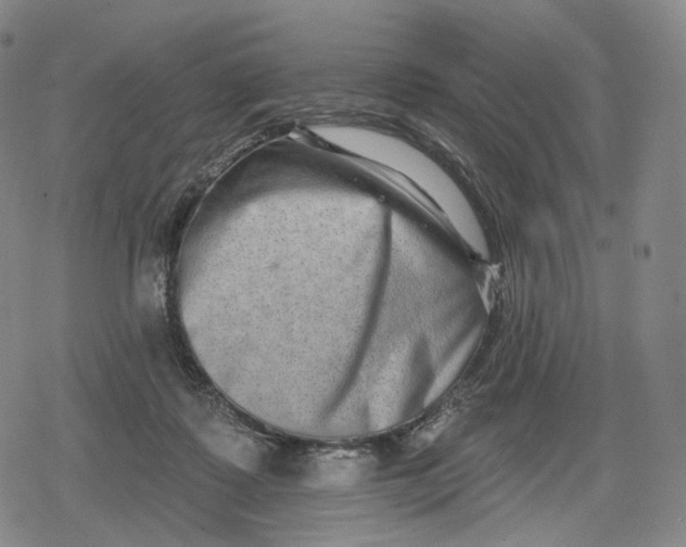 X0000079580315200612221437