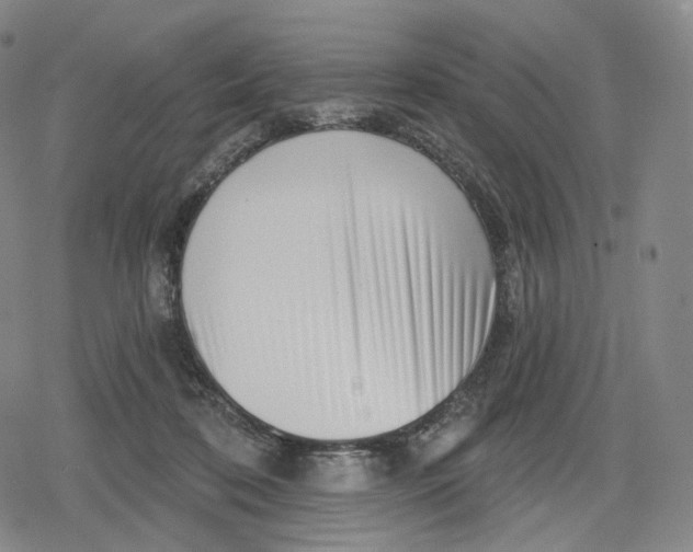 X0000079580316200612221437